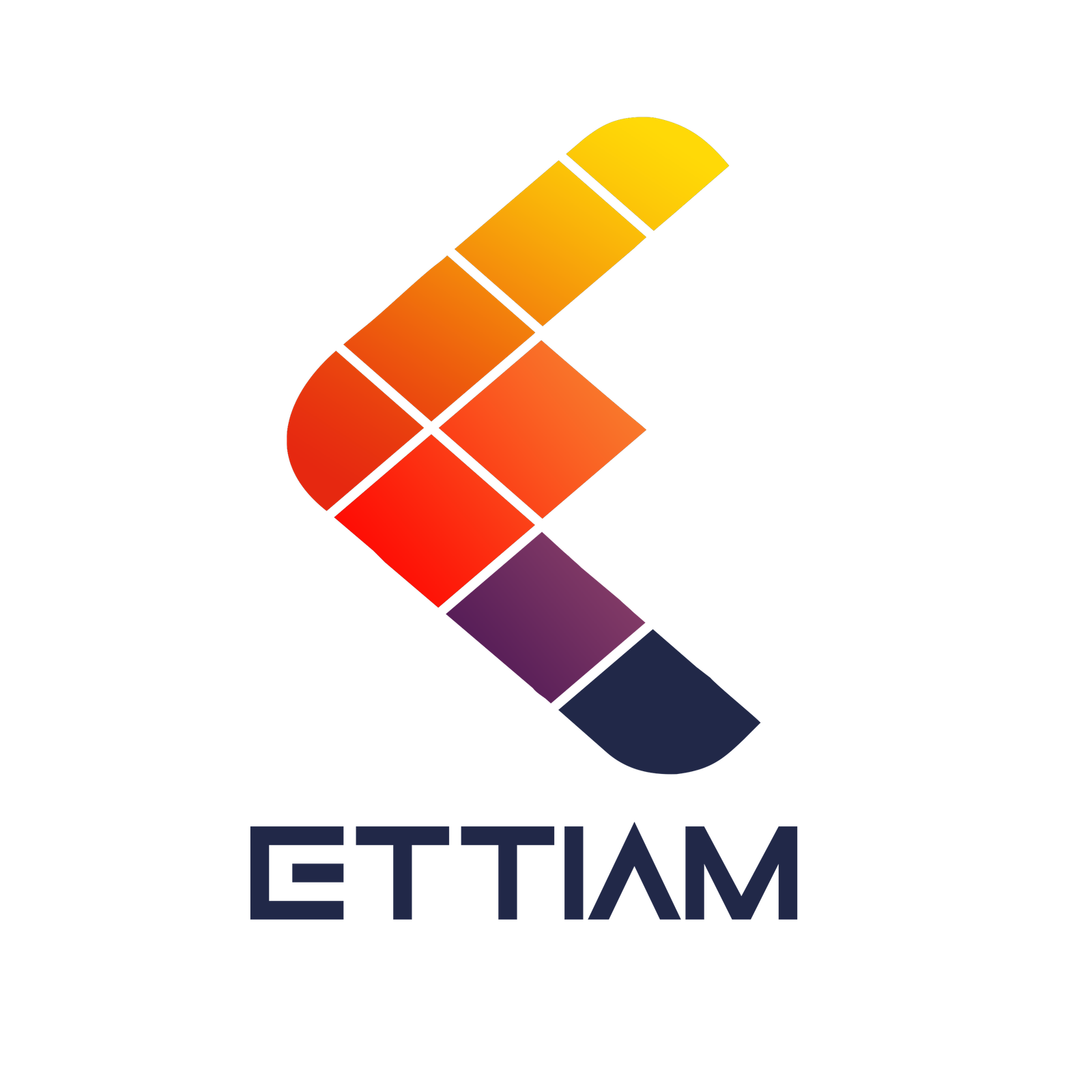 ETTIAM Logo